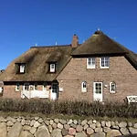 Reethues Am Watt Wattkrabbe