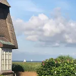 Reethues Am Watt Wattkrabbe